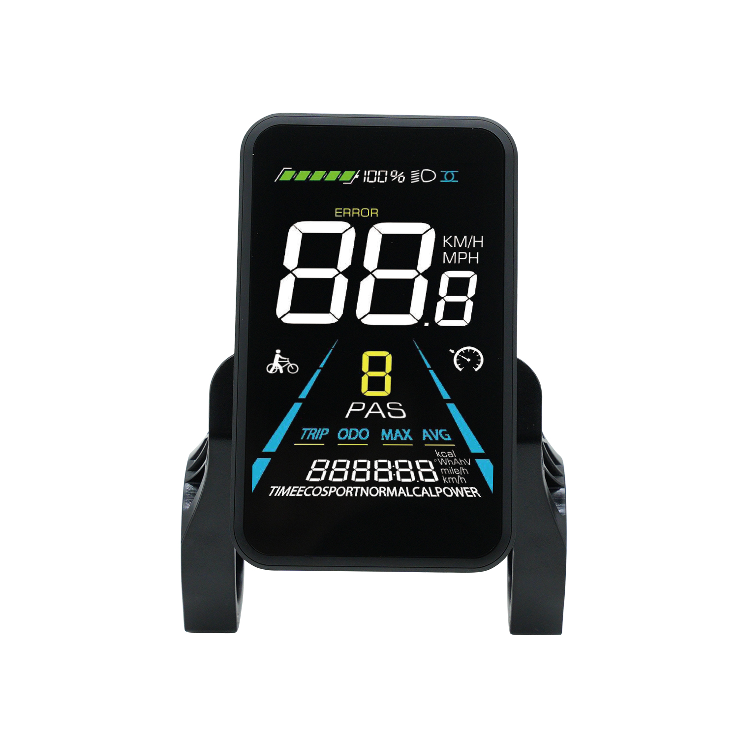 81F