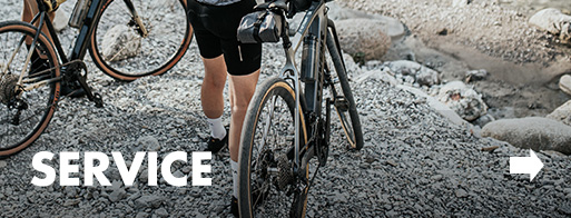 ebike service