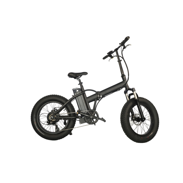 folding e-bike