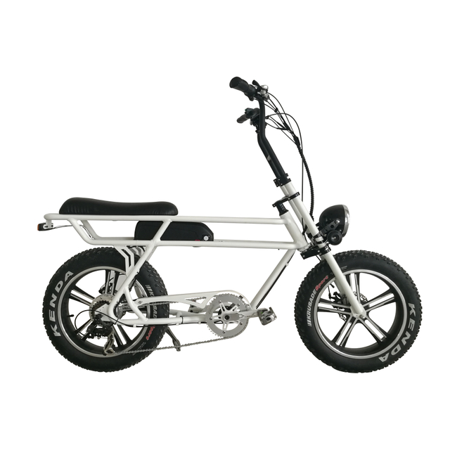 electric bicycle