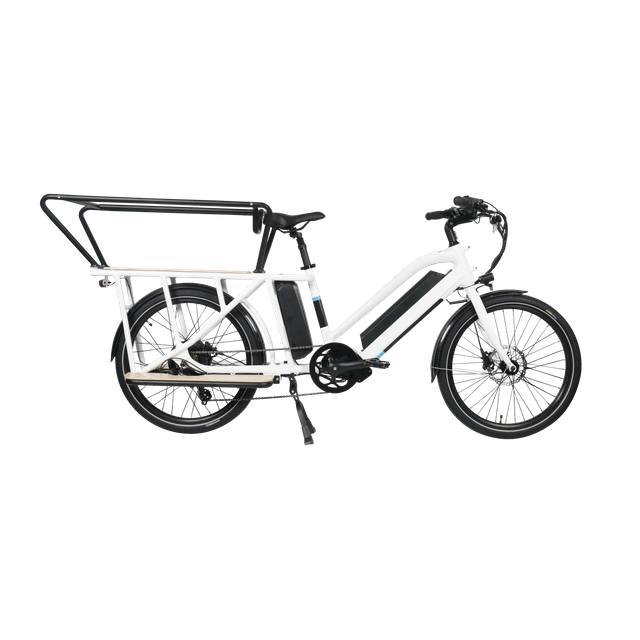 multifunctional electric bike