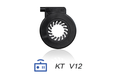 KT V12 PAS