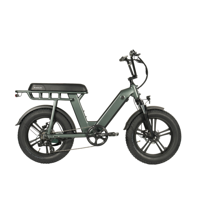 F2-2 fat tire ebike
