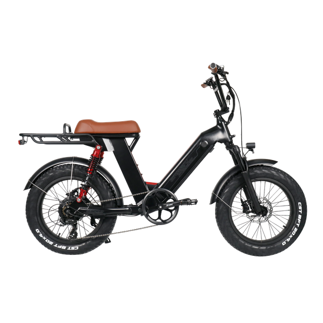 fat tire electric cargo bike