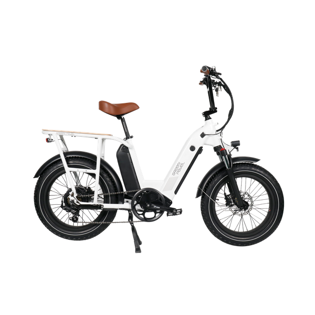 fat tire electric bike