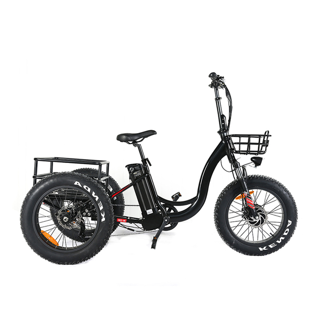 electric tricycle