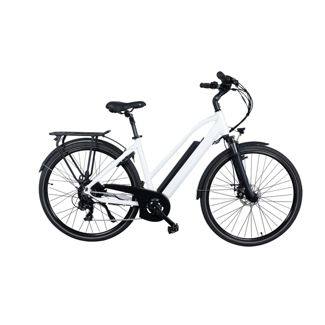 Miestas ebike
