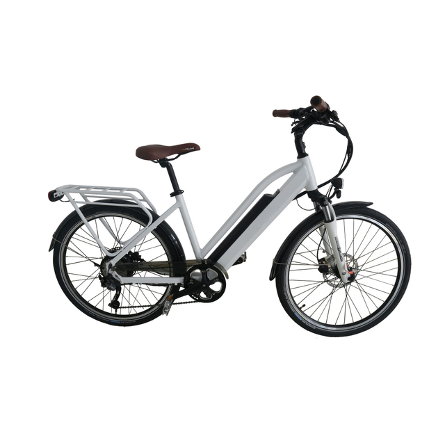 36V 250W 26 inch rear wheel electric city bike
