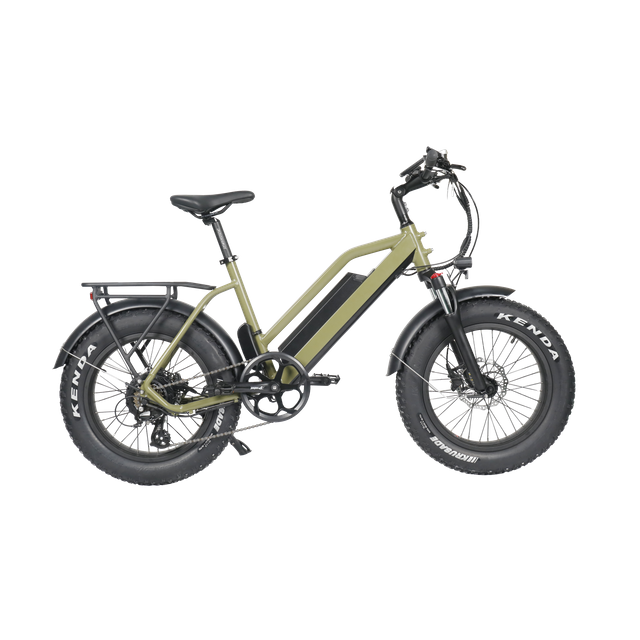 fat tire ebike