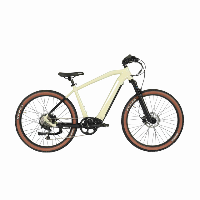 M5 mountain ebike