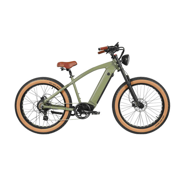 F10 fat tire ebike