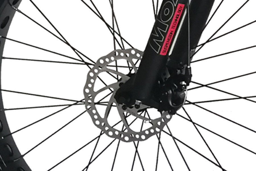 front and rear disc brake