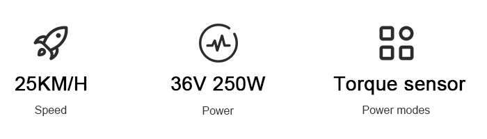 mid drive ebike motor