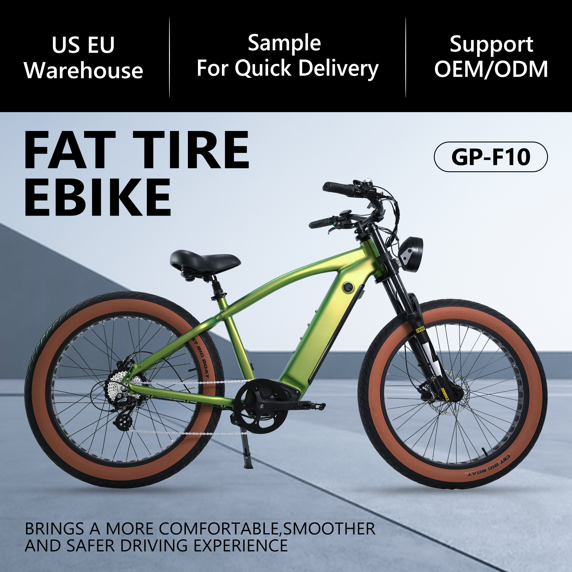  48V 750W Fat Tire eBike